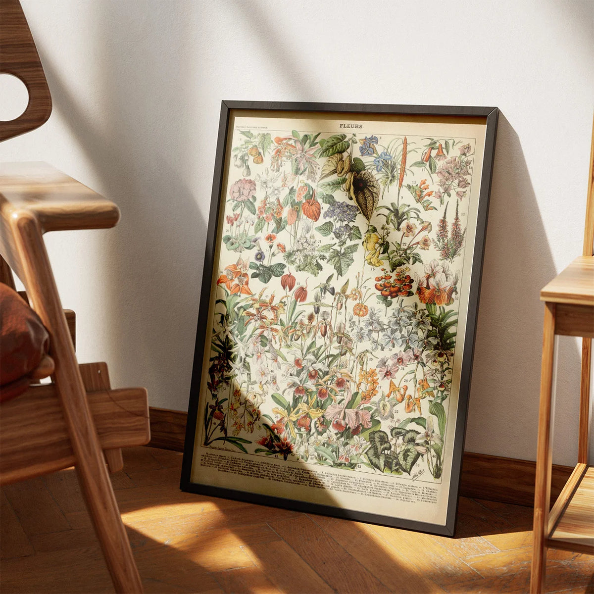 Blomster 1932 - Botanisk planche af Adolphe Millot – billede 3