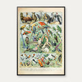 Fugle A 1932 - Adolphe Millot planche – billede 1