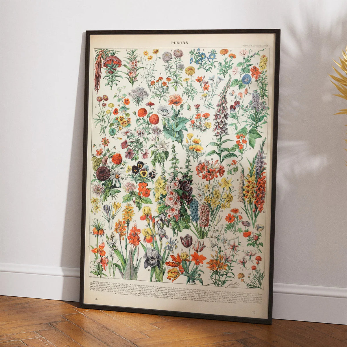 Blomster A 1932 - Adolphe Millot planche – billede 2
