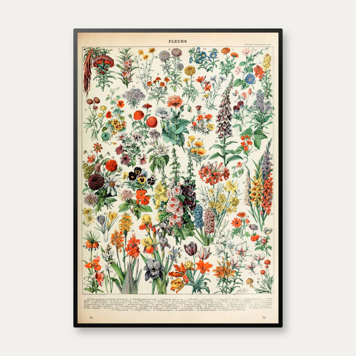 Blomster A 1932 - Adolphe Millot planche – billede 1