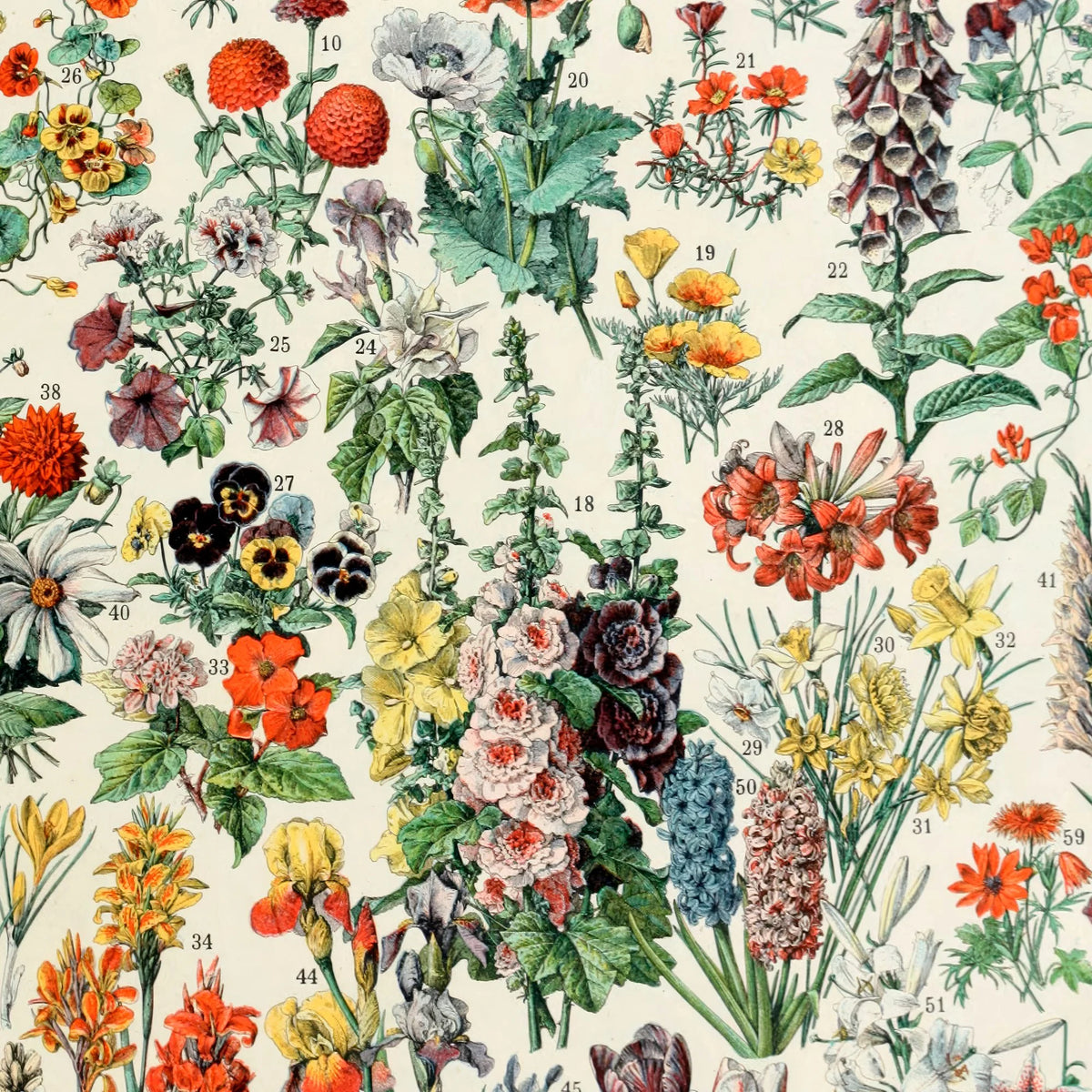 Blomster A 1932 - Adolphe Millot planche – billede 4