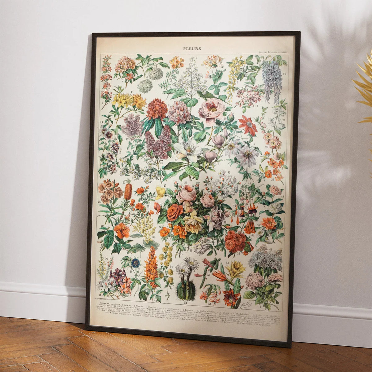 Blomster C 1932 - Adolphe Millot planche – billede 2