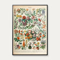 Blomster C 1932 - Adolphe Millot planche – billede 1