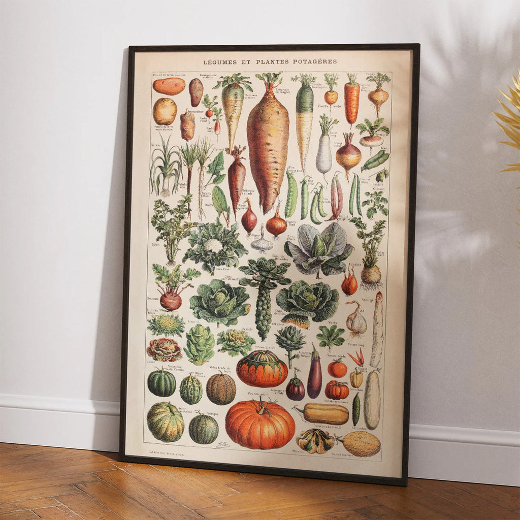 Grøntsager og nytteplanter 1932 - Adolphe Millot planche – billede 2