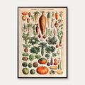 Grøntsager og nytteplanter 1932 - Adolphe Millot planche – billede 1