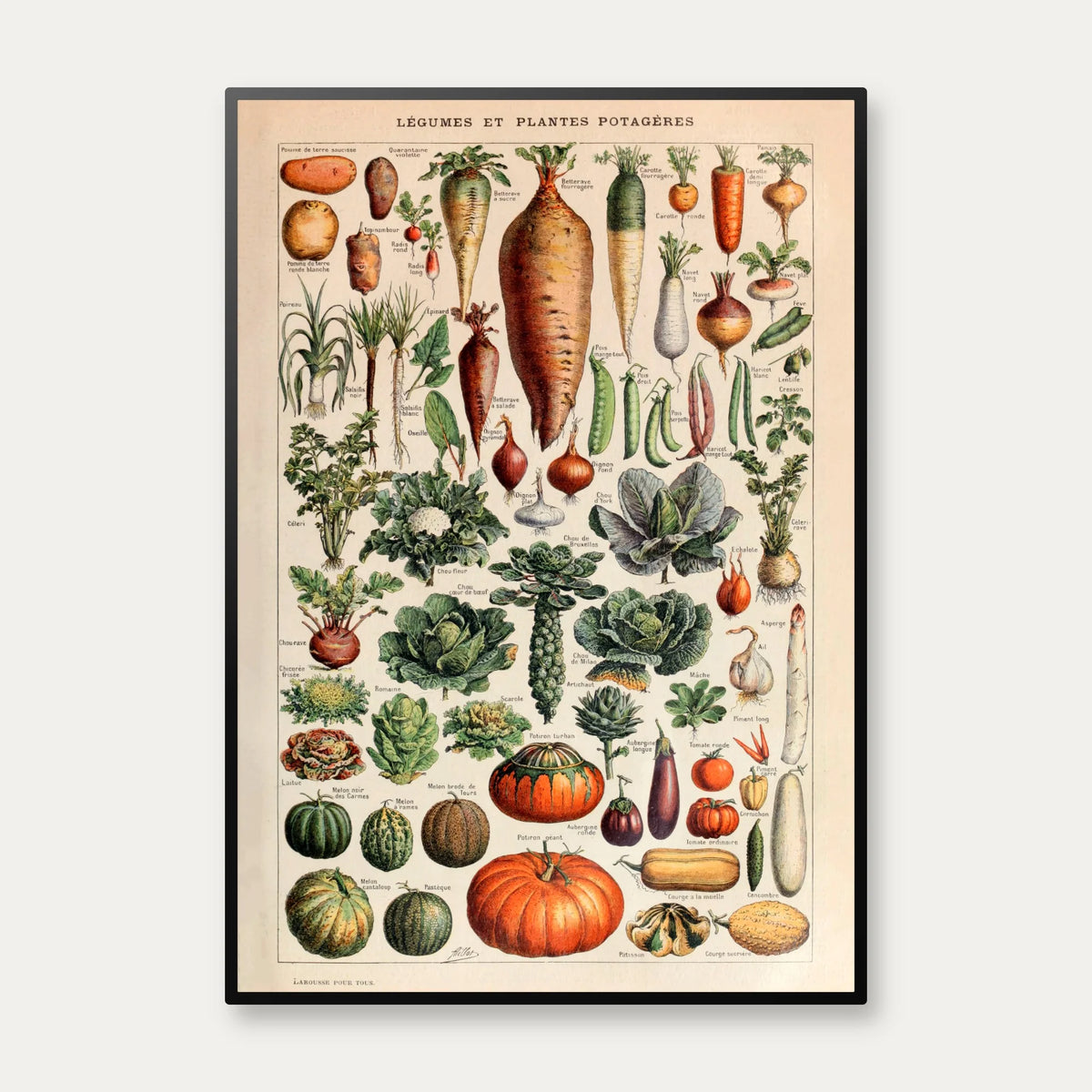 Grøntsager og nytteplanter 1932 - Adolphe Millot planche – billede 1