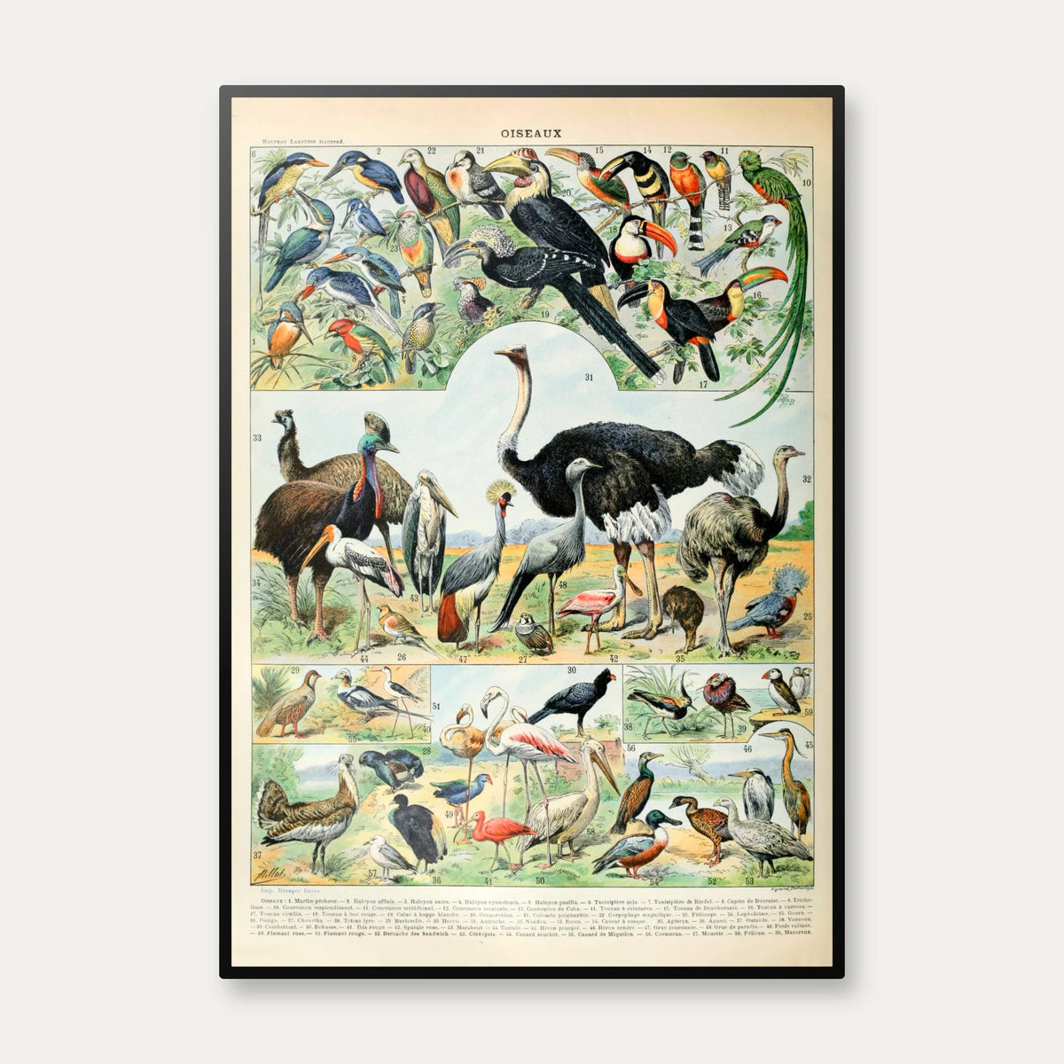 Fugle D 1932 - Adolphe Millot planche – billede 1