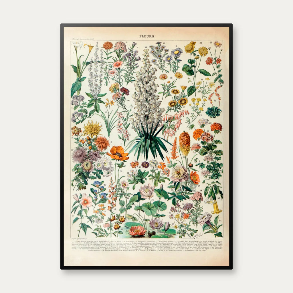 Blomster B 1932 - Adolphe Millot planche – billede 1