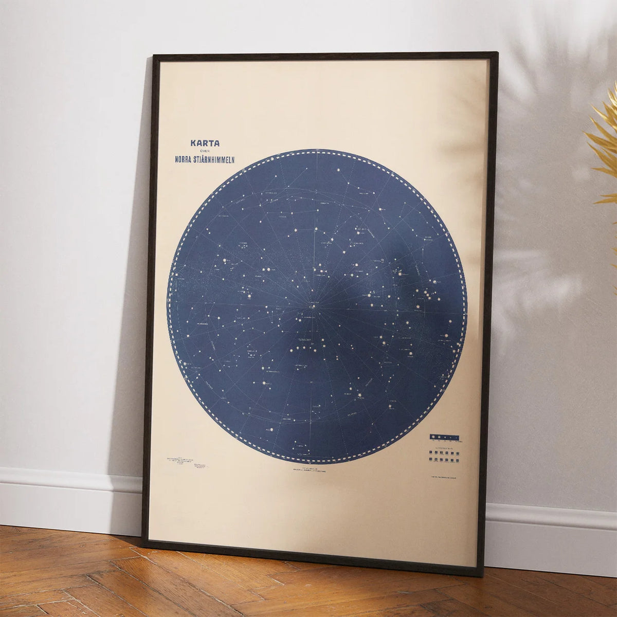 Den nordlige stjernehimmel - Astronomi plakat – billede 2