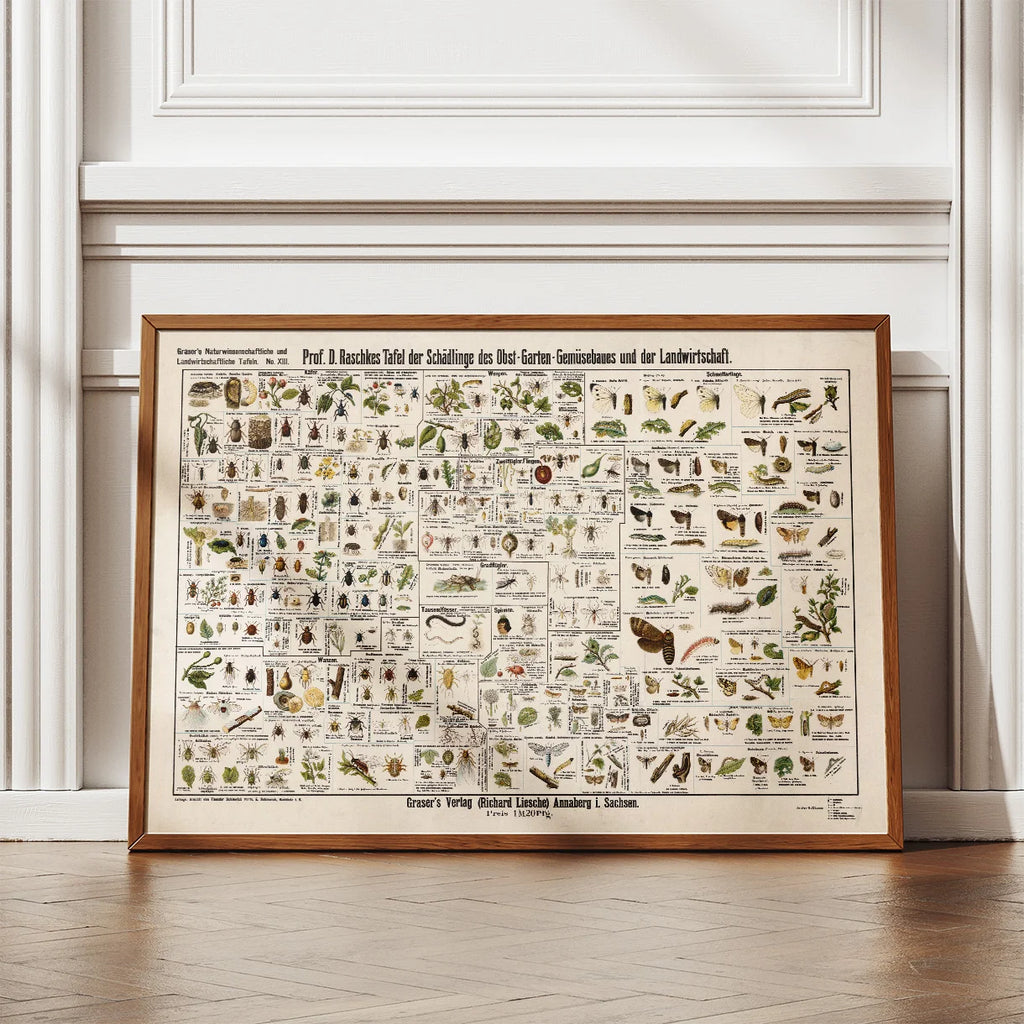 Skadedyr i landbrug 1910 - Zoologisk planche – billede 2