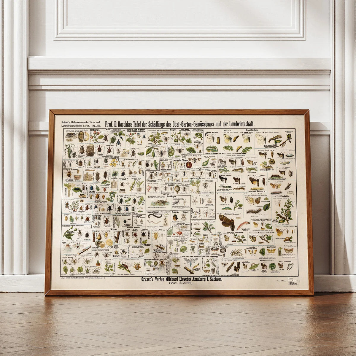 Skadedyr i landbrug 1910 - Zoologisk planche – billede 2