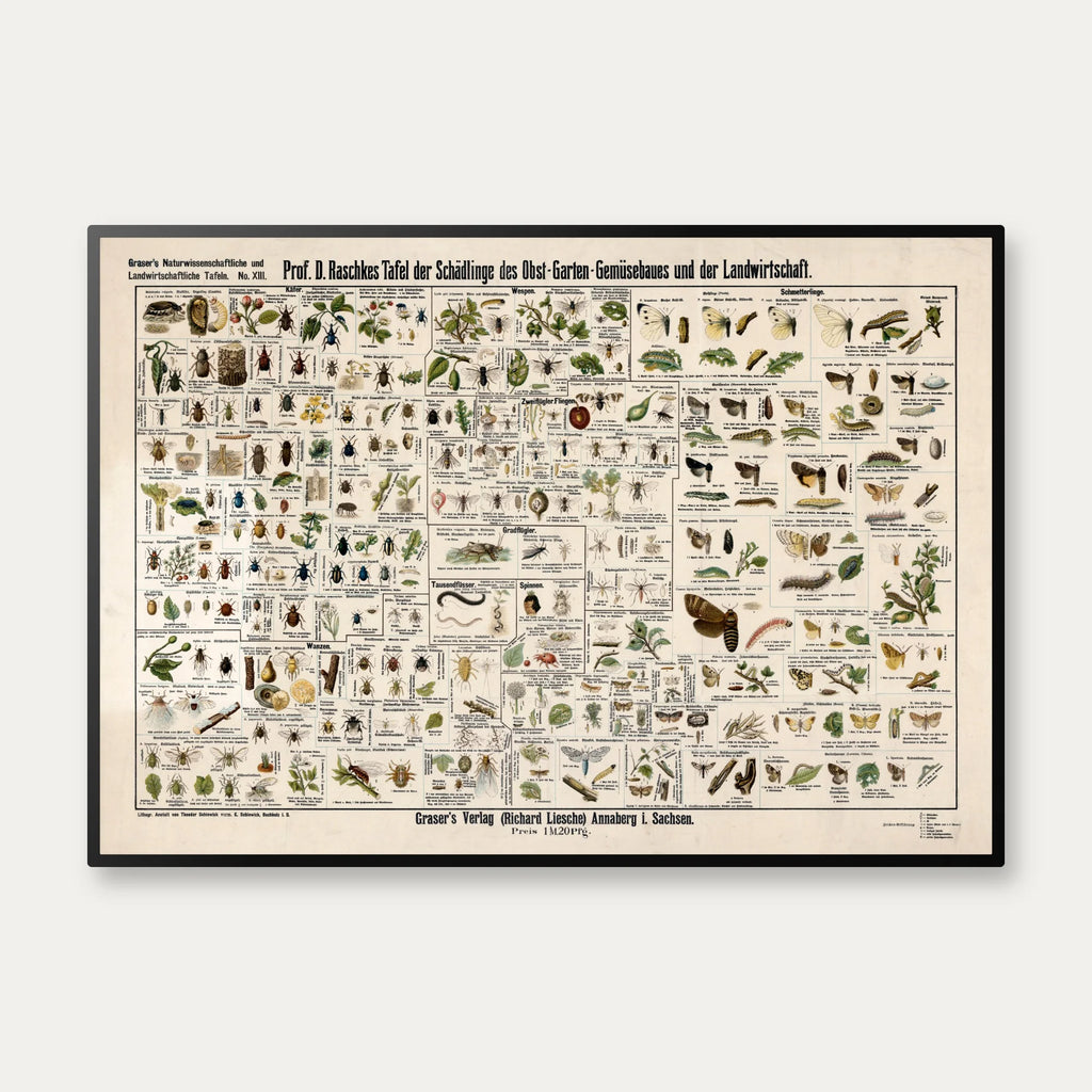 Skadedyr i landbrug 1910 - Zoologisk planche – billede 1