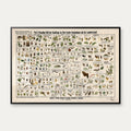 Skadedyr i landbrug 1910 - Zoologisk planche – billede 1