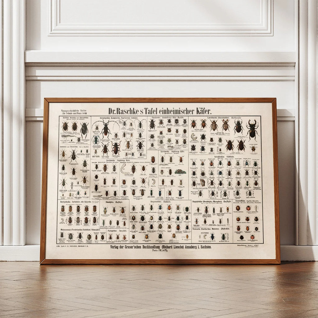 Biller 1910 - Zoologisk planche – billede 2