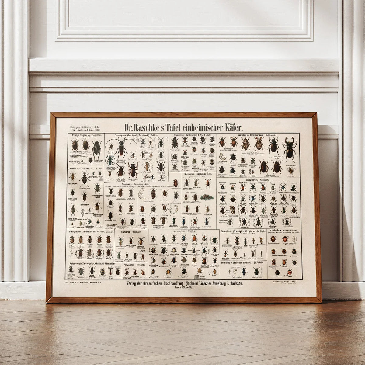 Biller 1910 - Zoologisk planche – billede 2