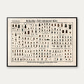 Biller 1910 - Zoologisk planche – billede 1