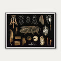 Bi 1910 - Zoologisk planche – billede 1