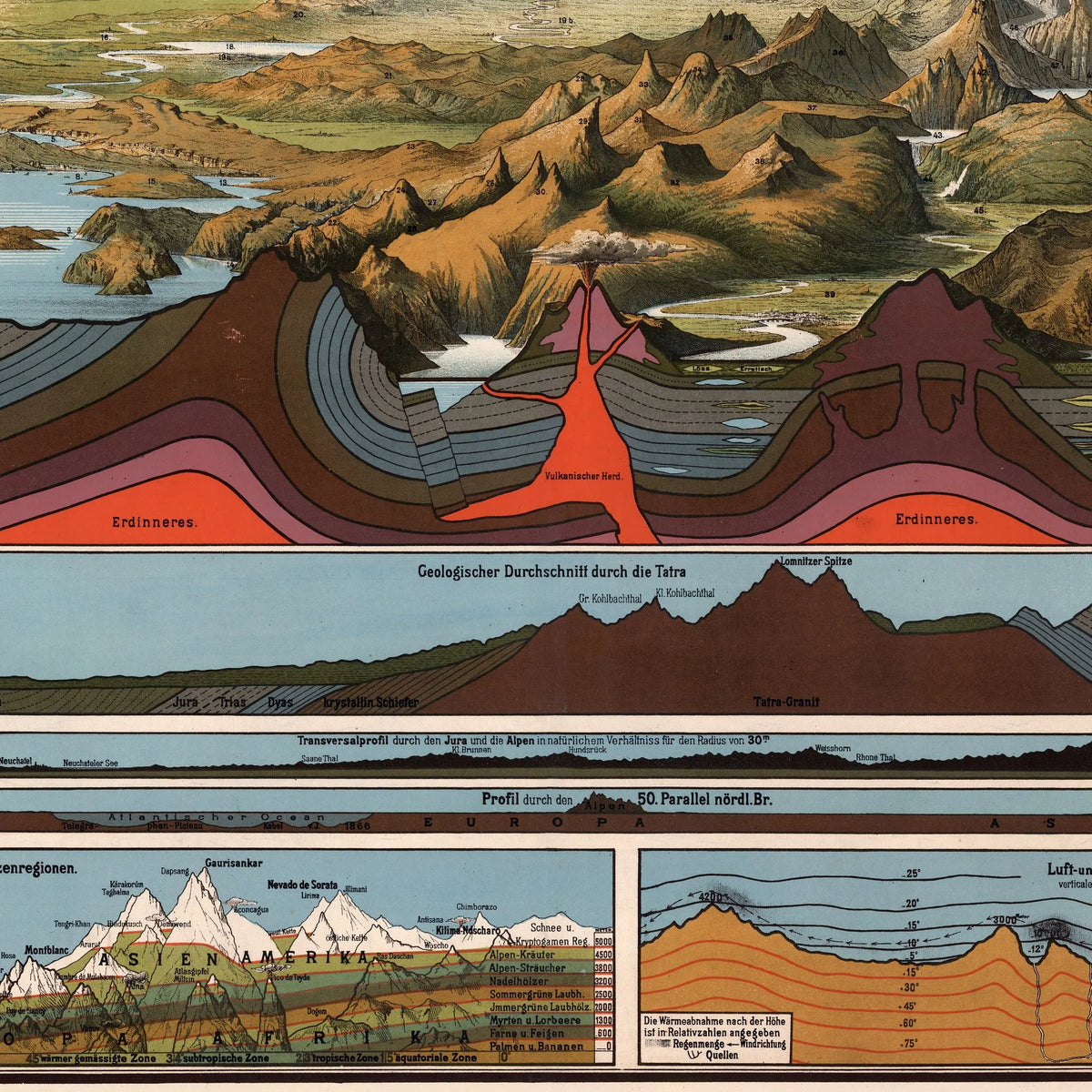Fysisk-geografiske forhold 1880 - Geografisk planche - 100×80 cm – billede 4