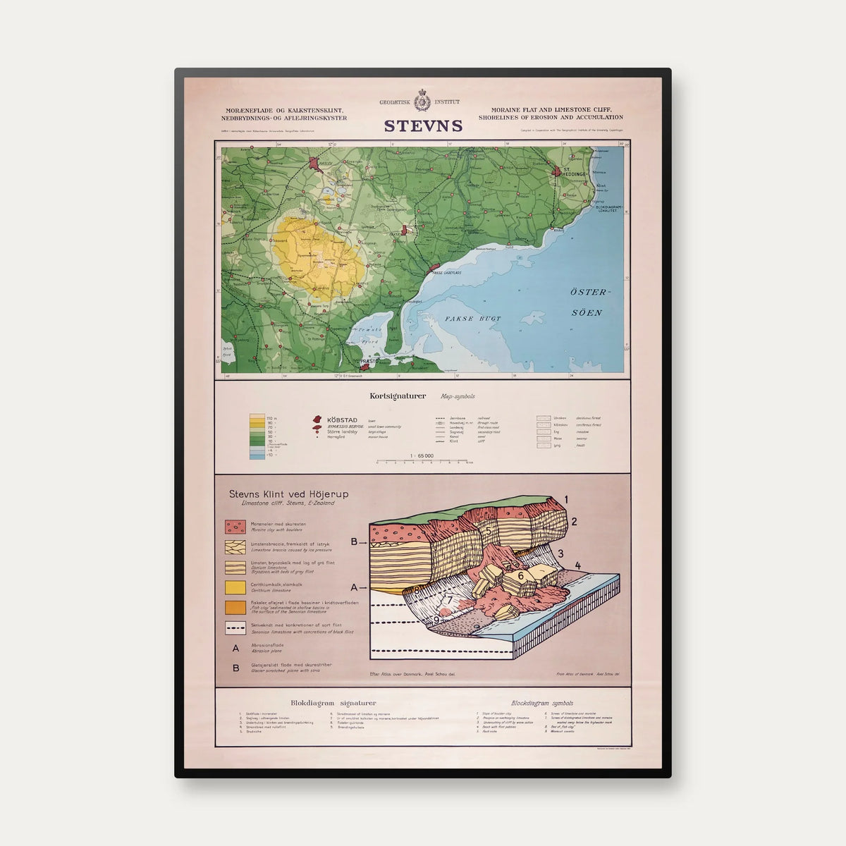 Stevns Klint 1954 - Geologisk undervisningsplakat – billede 1