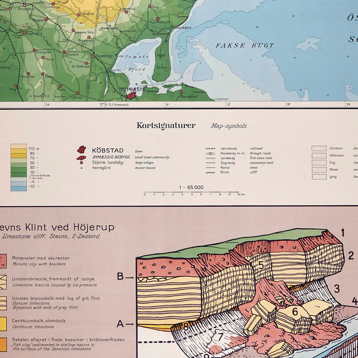 Stevns Klint 1954 - Geologisk undervisningsplakat – billede 4