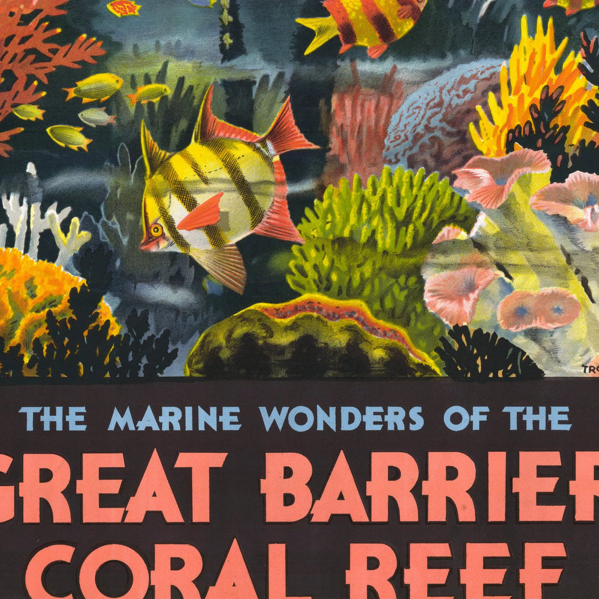 The Great Barrier Reef - Marine Wonders plakat fra 1933 – billede 4