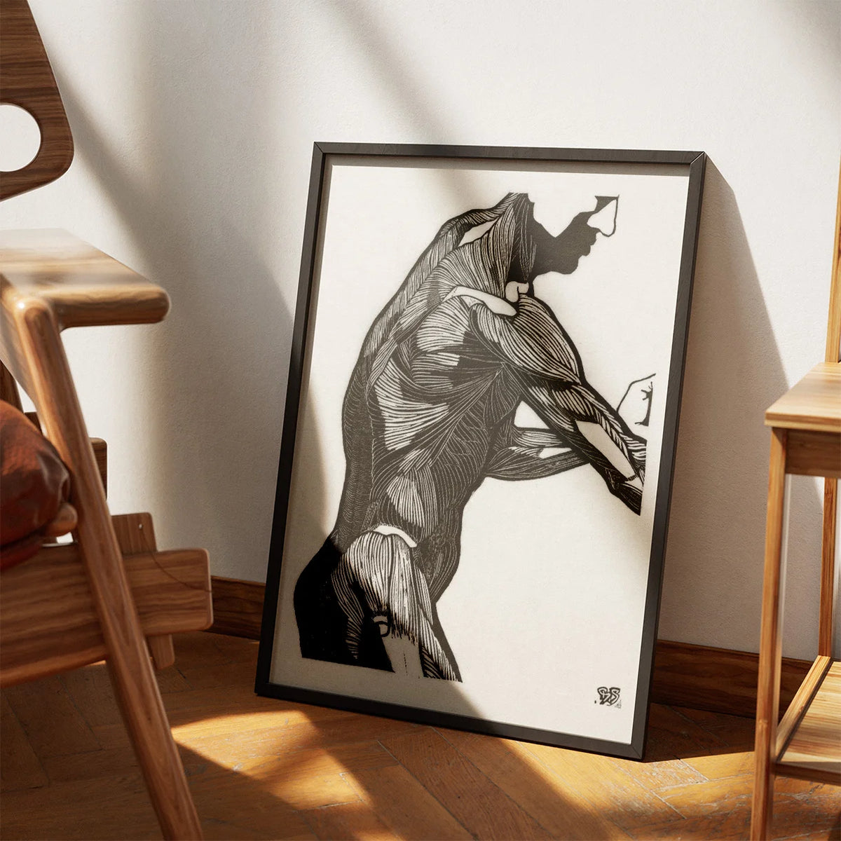 Mandens muskler I - Anatomisk planche fra 1920 – billede 3