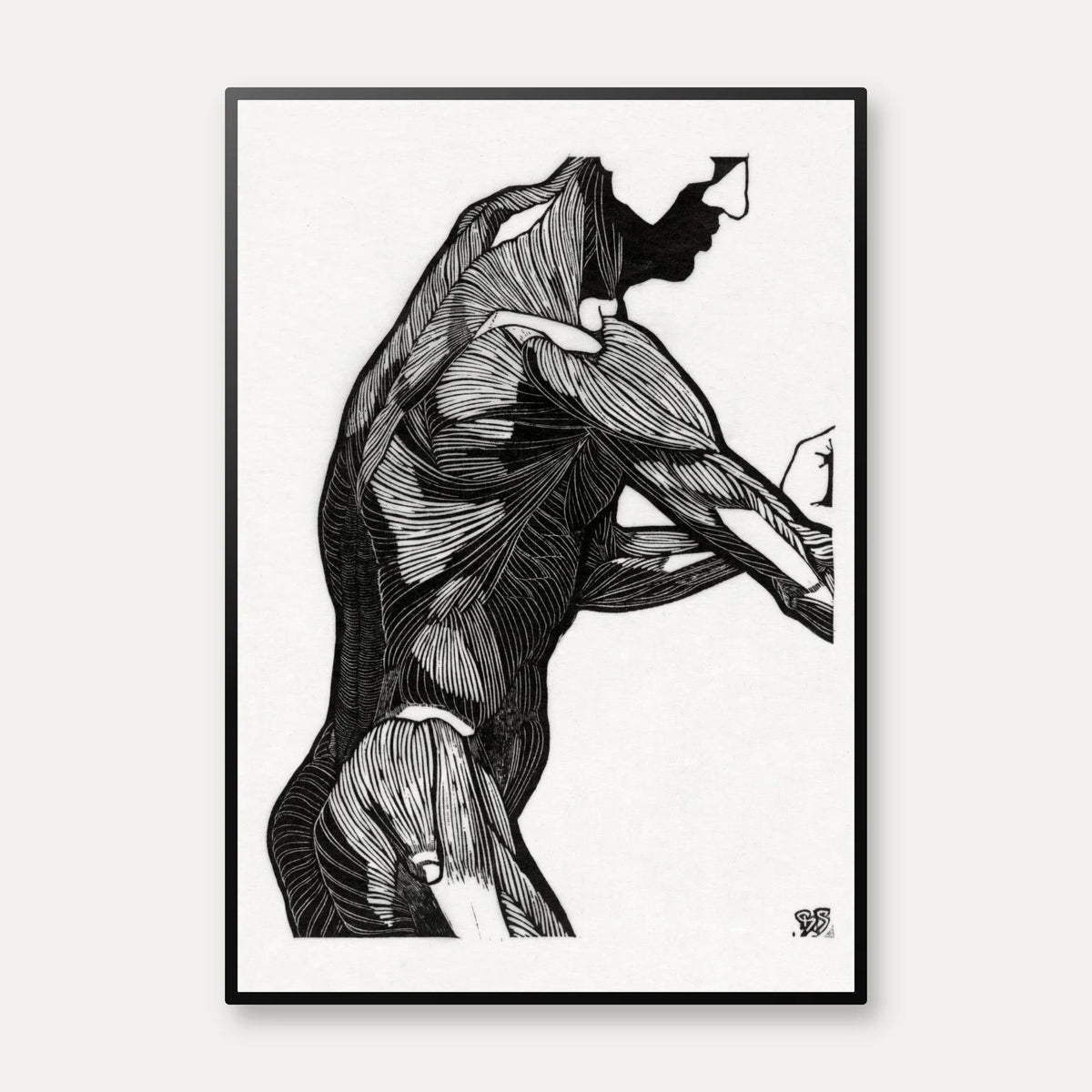 Mandens muskler I - Anatomisk planche fra 1920 – billede 1