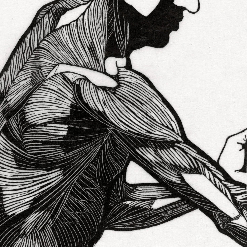 Mandens muskler I - Anatomisk planche fra 1920 – billede 4
