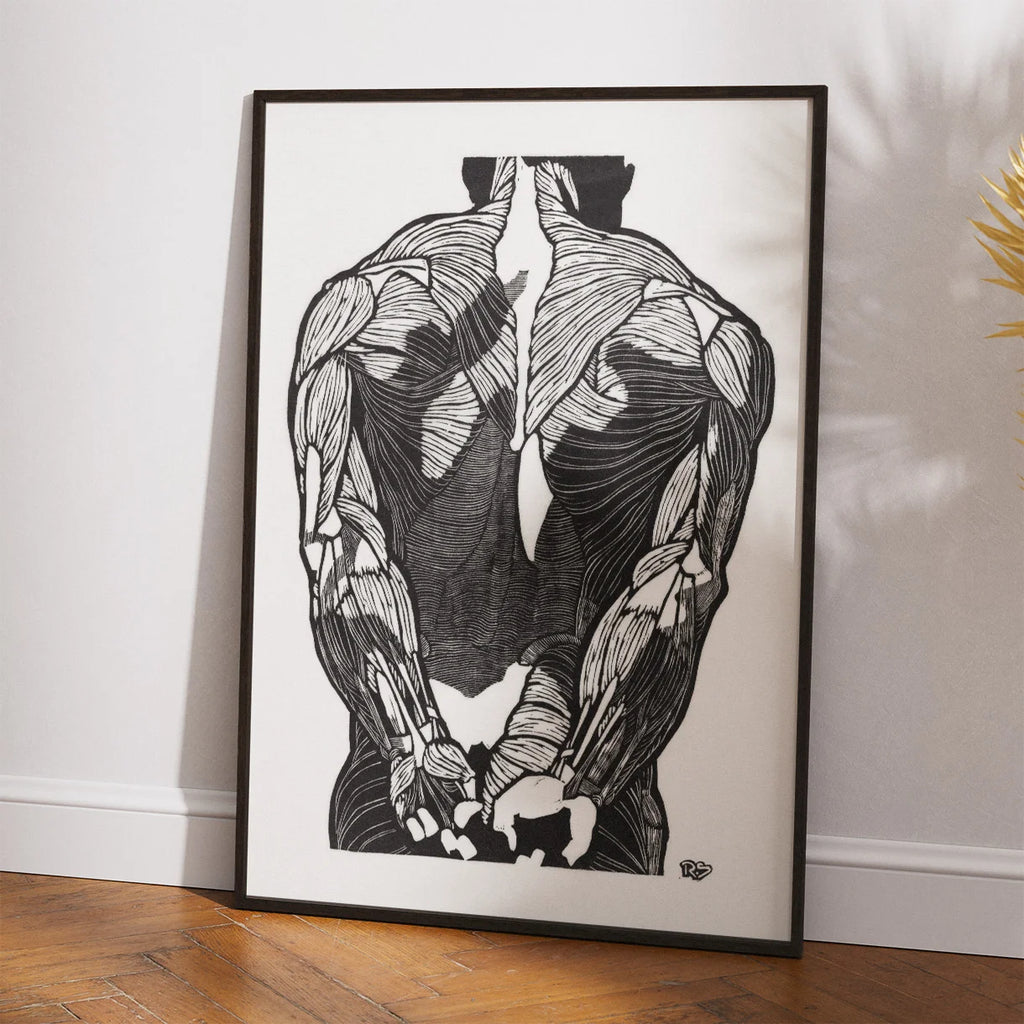 Mandens muskler II - Anatomisk planche fra 1920 – billede 2