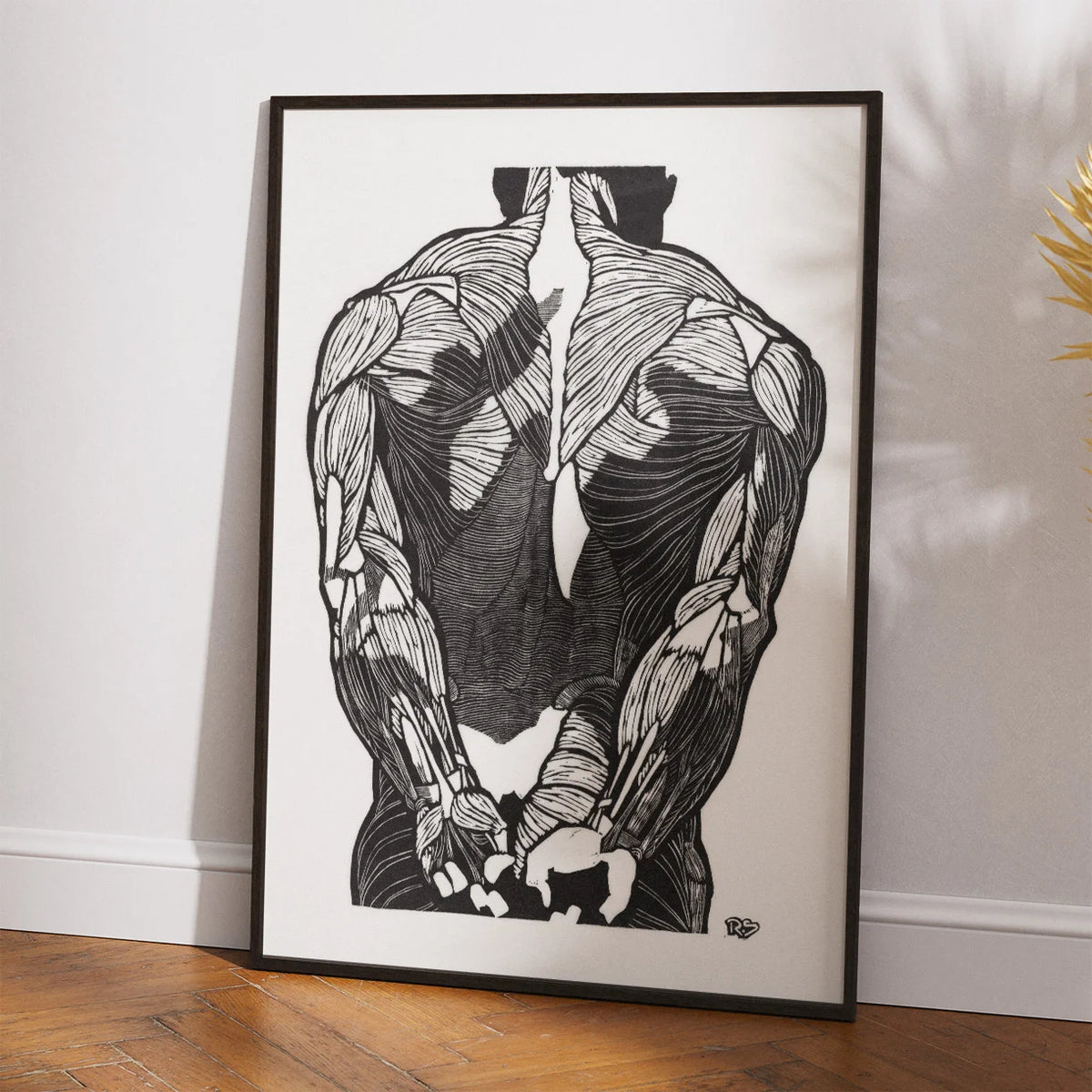 Mandens muskler II - Anatomisk planche fra 1920 – billede 2