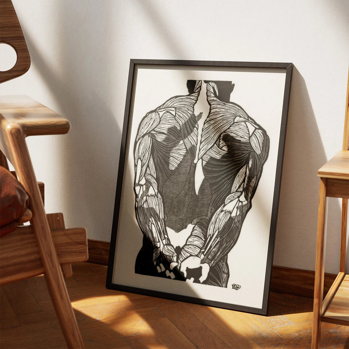 Mandens muskler II - Anatomisk planche fra 1920 – billede 3