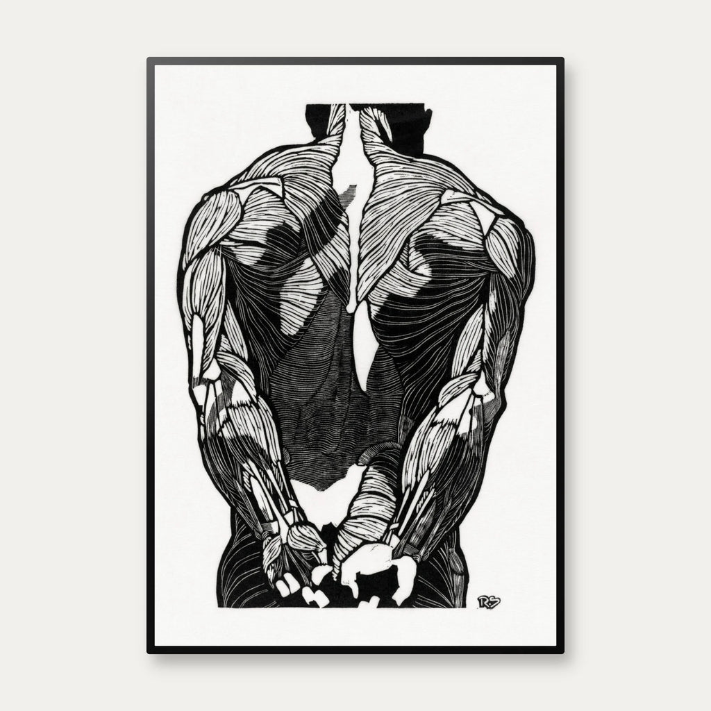 Mandens muskler II - Anatomisk planche fra 1920 – billede 1