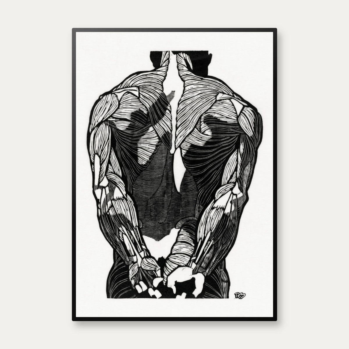 Mandens muskler II - Anatomisk planche fra 1920 – billede 1