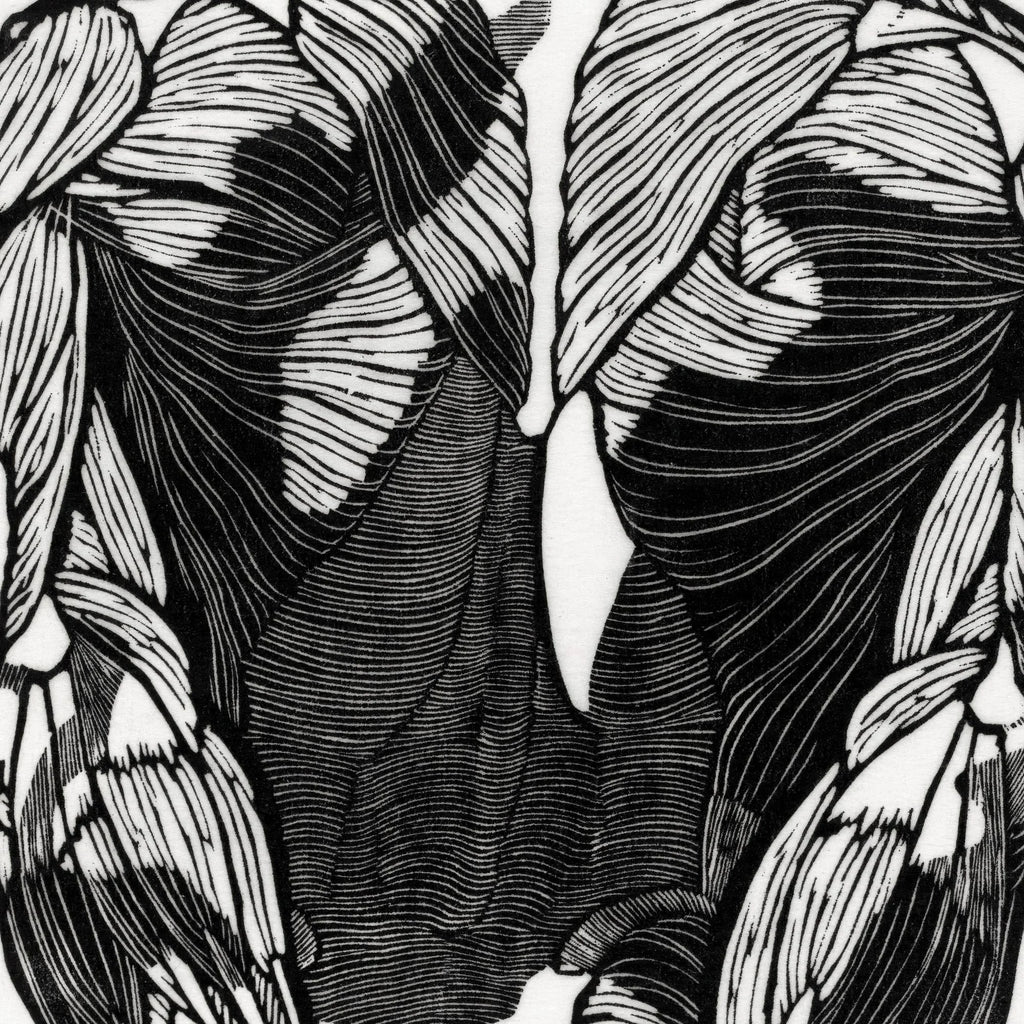 Mandens muskler II - Anatomisk planche fra 1920 – billede 4