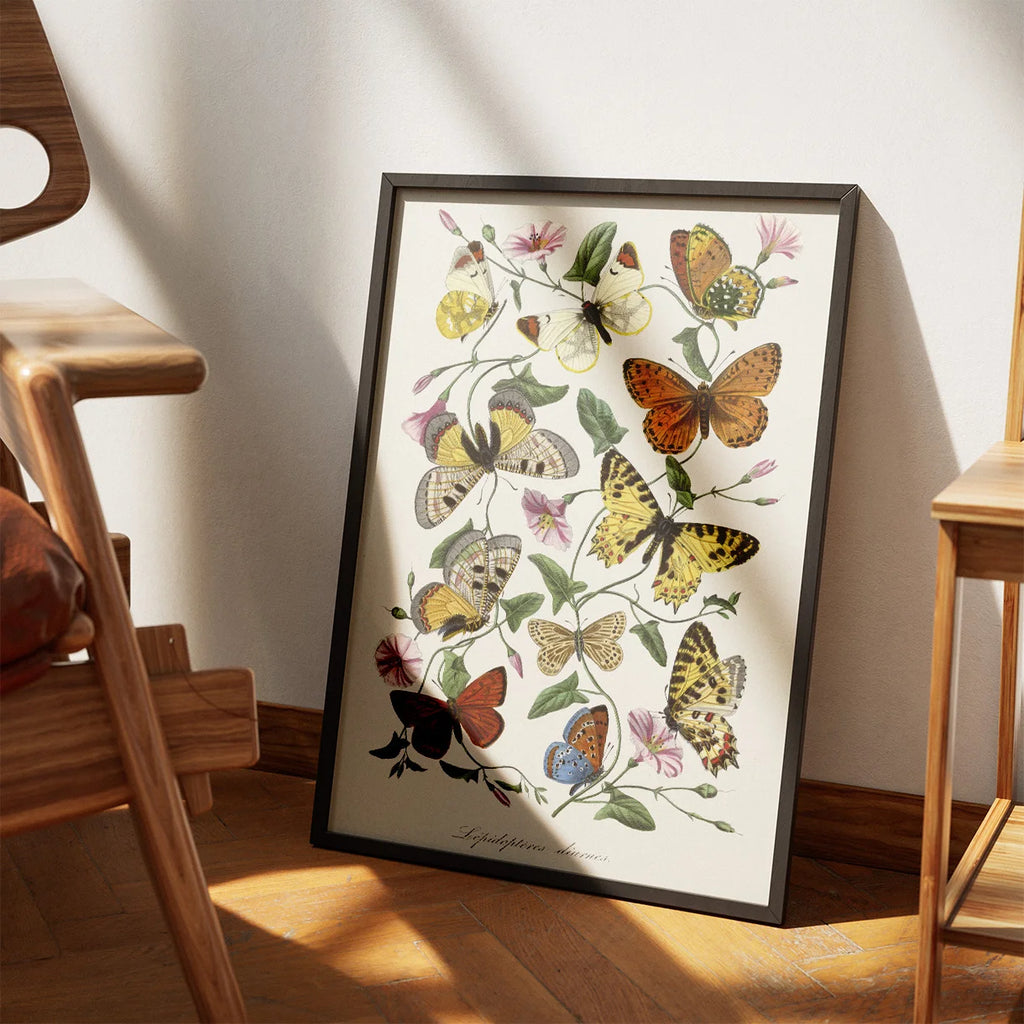 Sommerfugle og natsværmere - Naturillustration fra 1842 – billede 3
