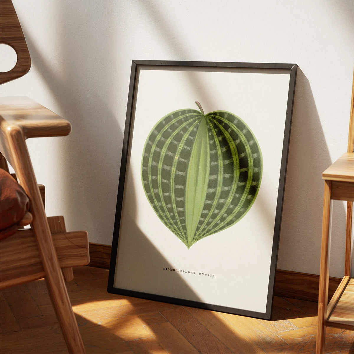 Dichorisandra undata - Botanisk illustration fra 1865 – billede 3