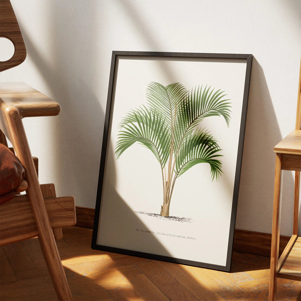 Palmer - Botanisk illustration fra 1878 – billede 3