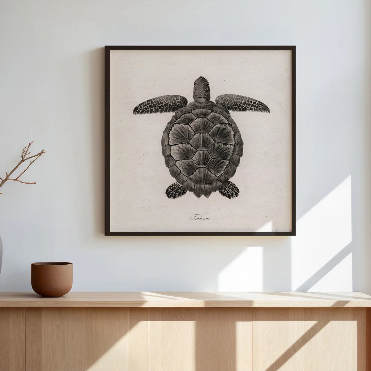 Skildpadde - Naturillustration – billede 3