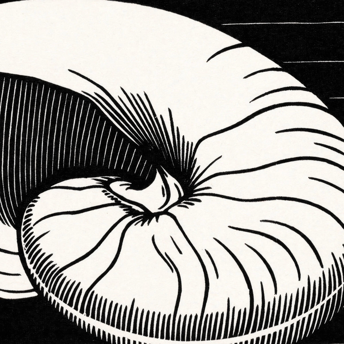 Muslingeskal - Grafik af Julie de Graag fra 1921 – billede 4