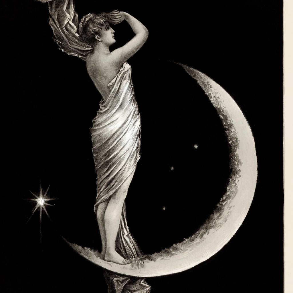 The Universal Favorite - Art Nouveau plakat fra 1889 – billede 4
