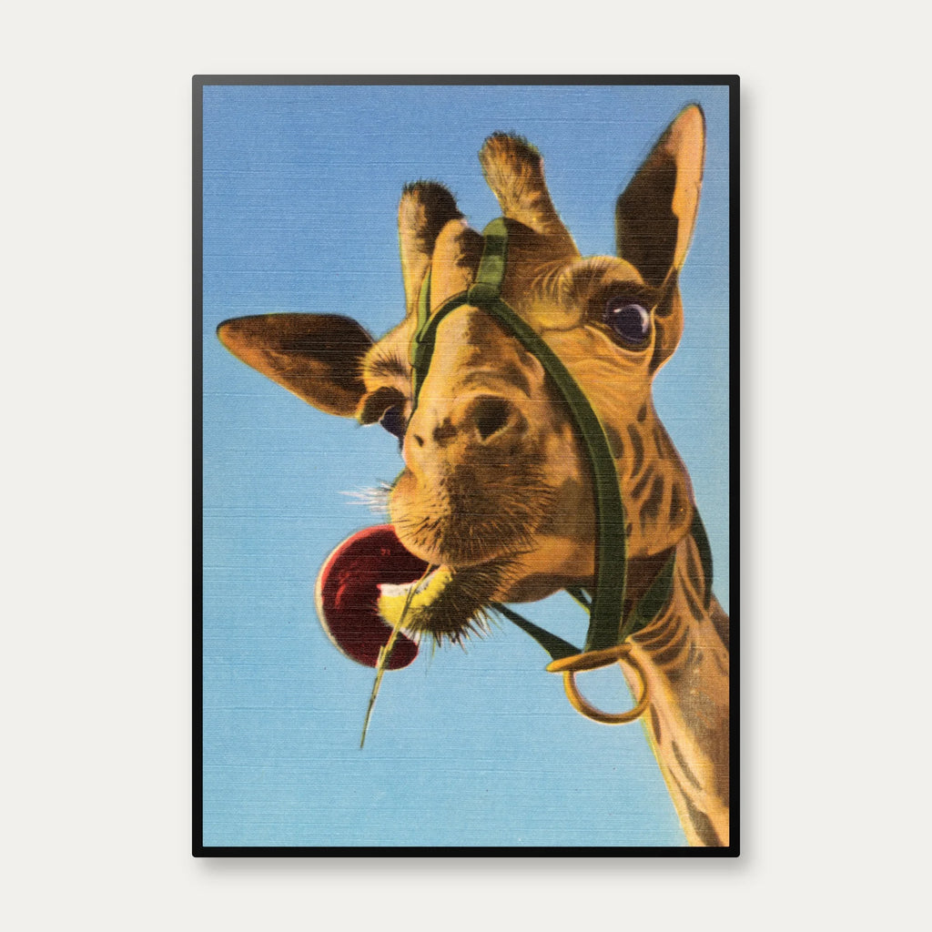 Hi-Ya All - Sarasota, Florida - Vintage postkortplakat – billede 1