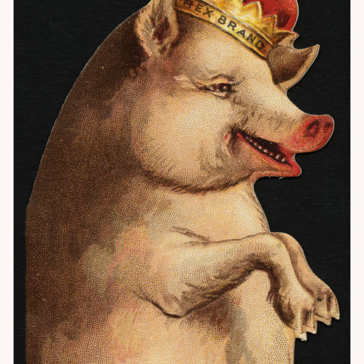 Rex Brand - Reklameplakat for konserves og kødprodukter - 32×70 cm – billede 4