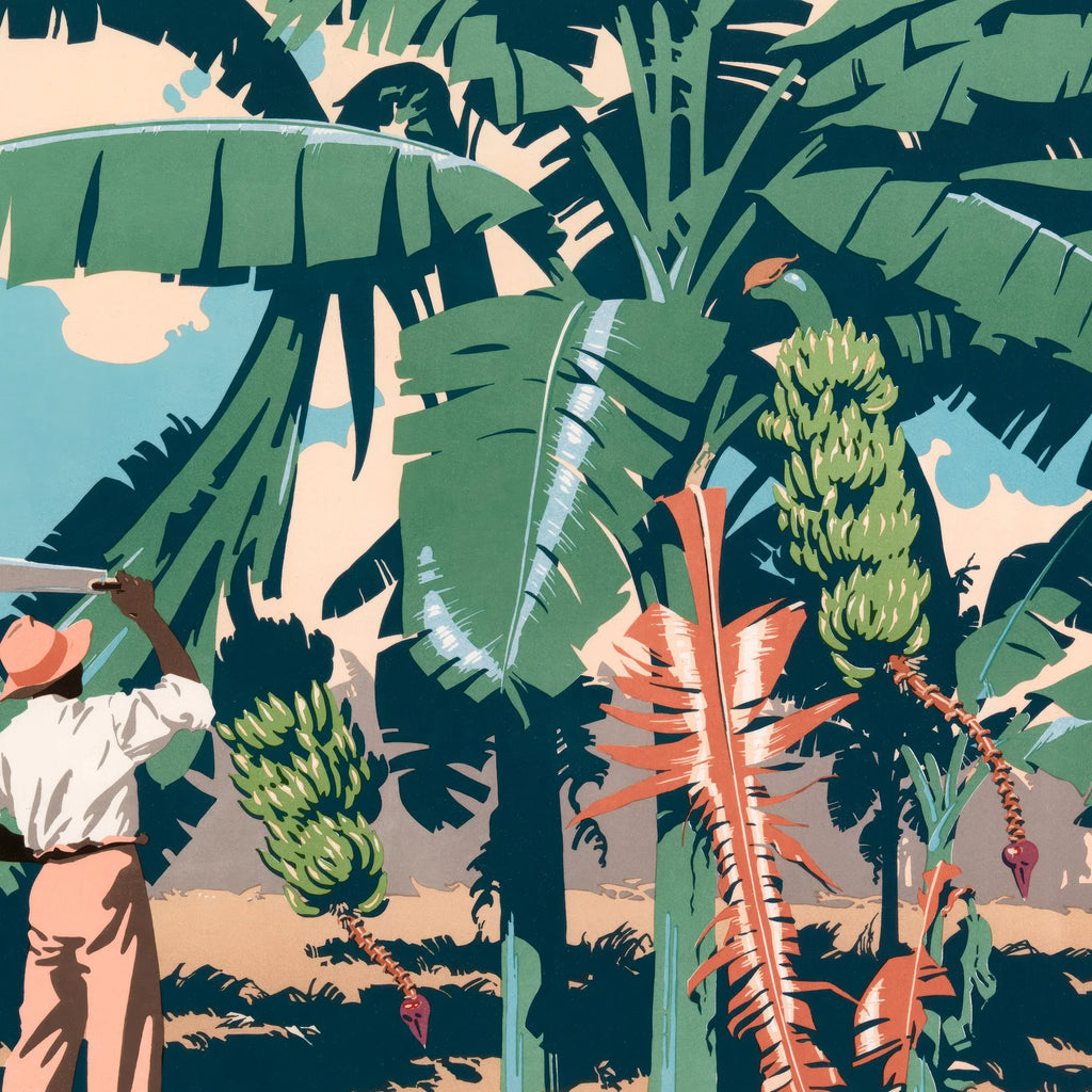 Bananhøst på Jamaica - Reklameplakat af Frank Newbould – billede 4