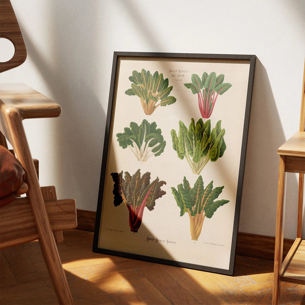 Bladbede - Botanisk planche af Ernst Benary fra 1880 – billede 3