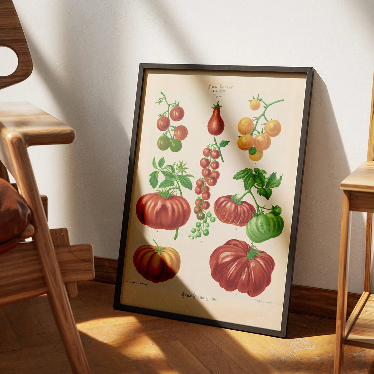 Tomater - Botanisk planche af Ernst Benary fra 1880 – billede 3