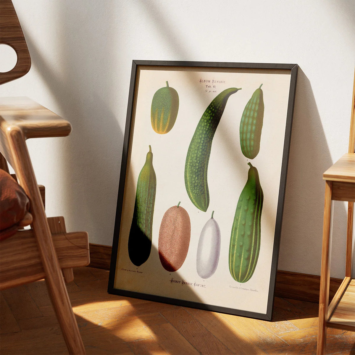 Agurker - Botanisk planche af Ernst Benary fra 1880 – billede 3