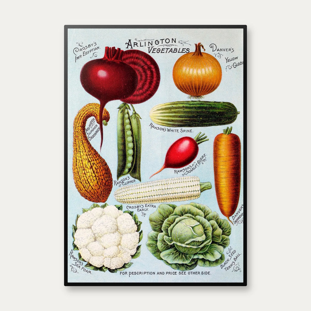 Rawson's grøntsags- og blomsterfrø - Reklameplakat fra 1895 – billede 1