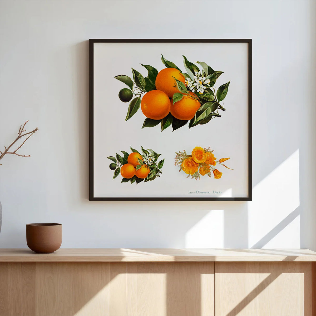 Appelsiner og valmuer - Frugtillustration fra 1895 – billede 3