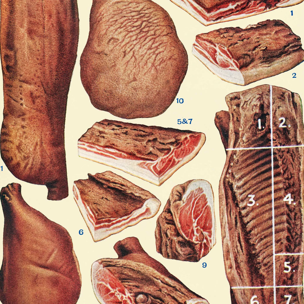 Bacon og skinke - Viktoriansk madillustration fra 1923 – billede 4