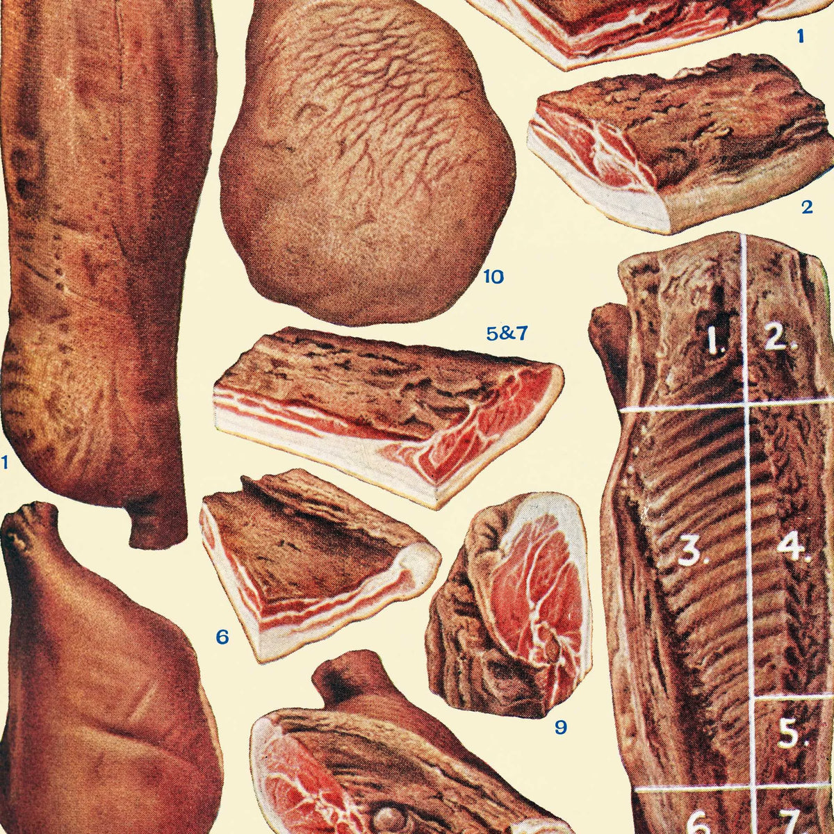 Bacon og skinke - Viktoriansk madillustration fra 1923 – billede 4